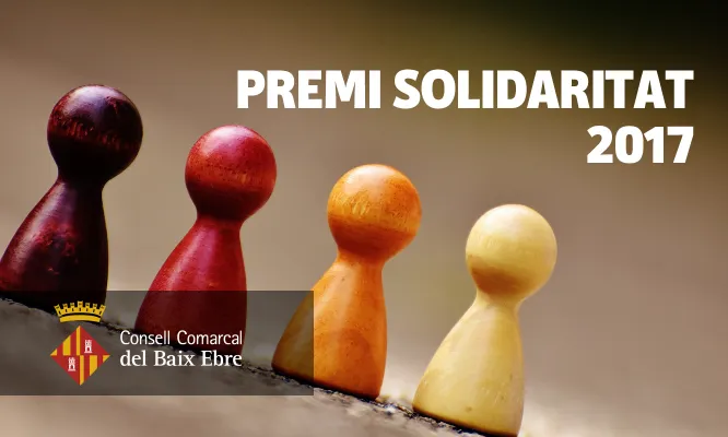 XII Premi 'Solidaritat' del Consell Comarcal del Baix Ebre