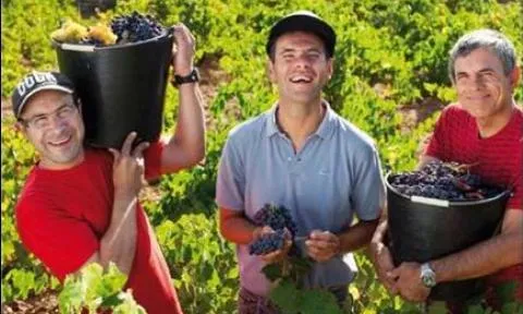 Treballadors de les vinyes d'Urpina