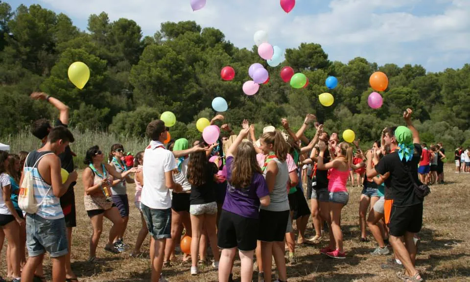 Piocam 2014