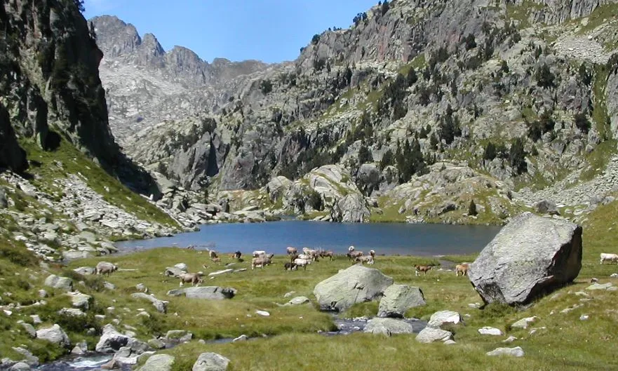 Parc Nacional d'Aigüestortes. Font: viquipèdia