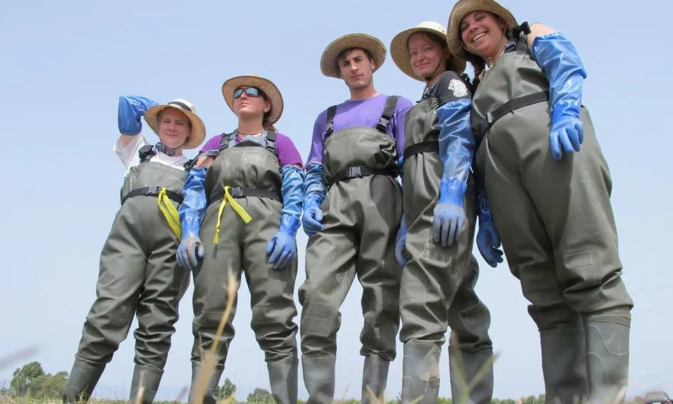 Voluntaris i voluntàries ambientals a Riet Vell