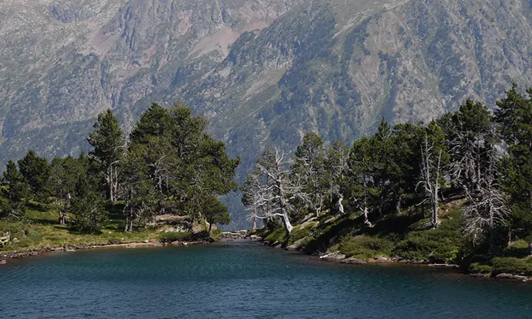 Un llac enmig de les muntayes