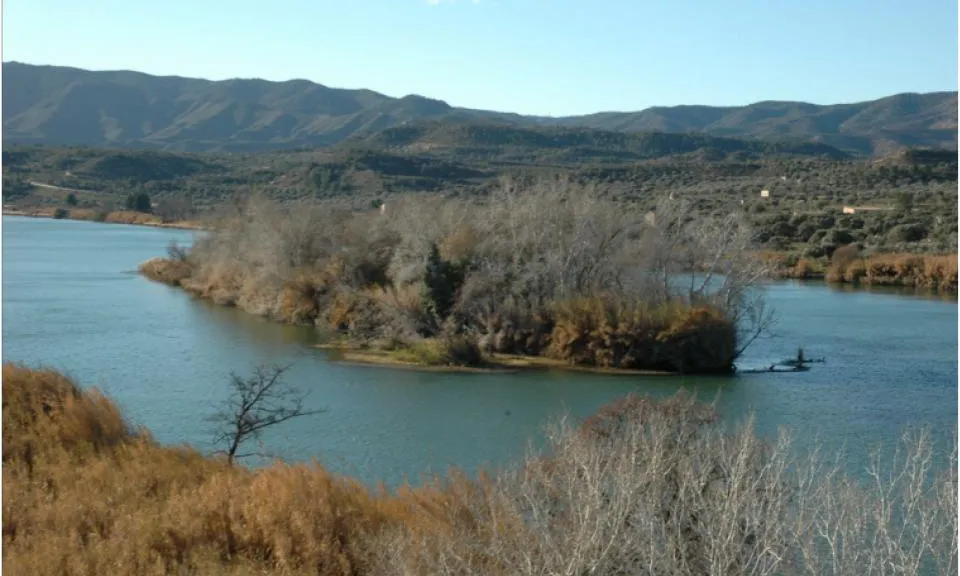 Custòdia fluvial en la ribera de l'Ebre a Flix