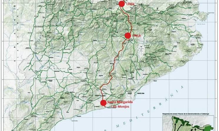 El documental vol explicar les tasques per la recuperació dels camins ramaders de transhumància que duen terme diverses entitats i ajuntaments 