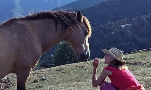 El documental Camí de Marina busca suport a Verkami