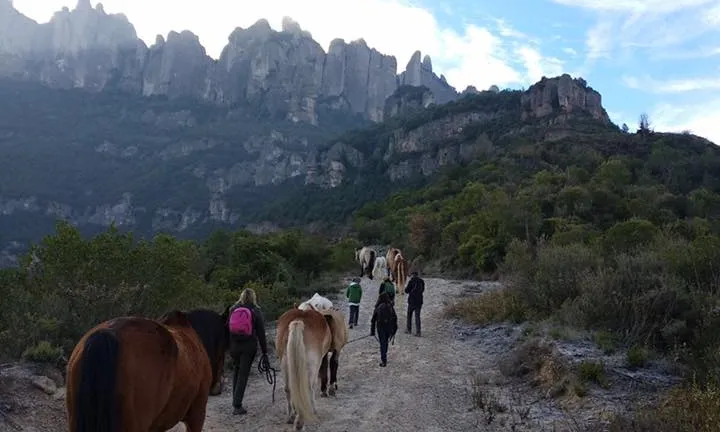Els camins ramaders representen una connexió històrica entre territoris, amb implicacions per a la biodiversitat i la protecció de la natura