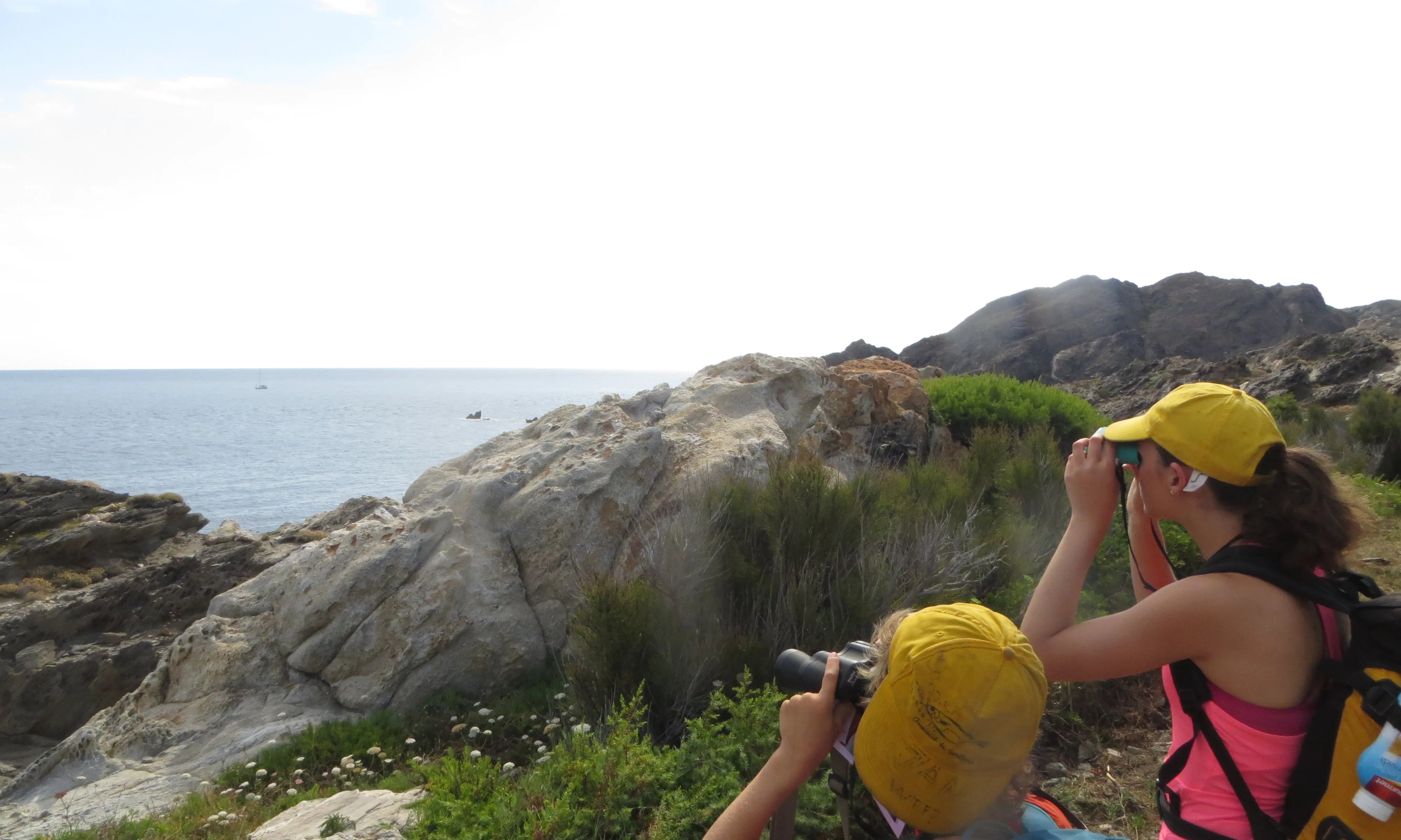 L'Associació La Sorellona organitza camps de treball i campaments de caràcter naturalista