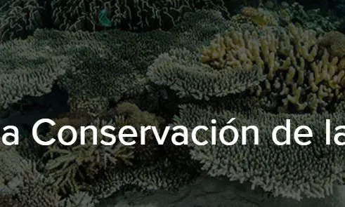 XIII Premis a la conservació de la biodiversitat XIII Premis a la conservació de la biodiversitat