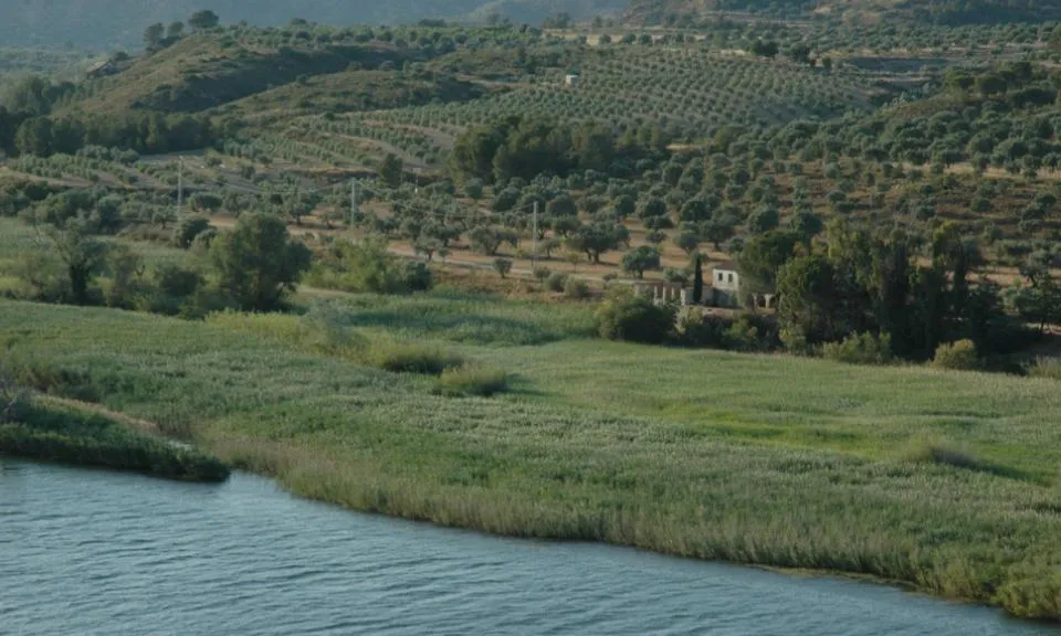 La Reserva Natural de Sebes-Flix, espai conservat per la custòdia amb el Grup de Natura Freixe