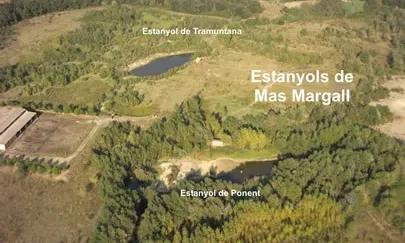La Iaeden protegeix els Estanyols de Mas Margall, a l'Empordà,  amb la custòdia del territori
