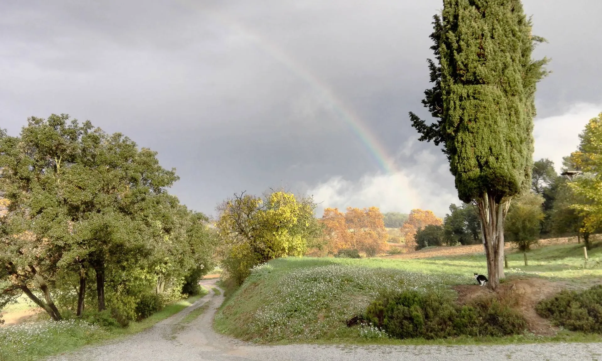 Gallecs és un dels últims espais sense urbanitzar a la comarca del Vallès