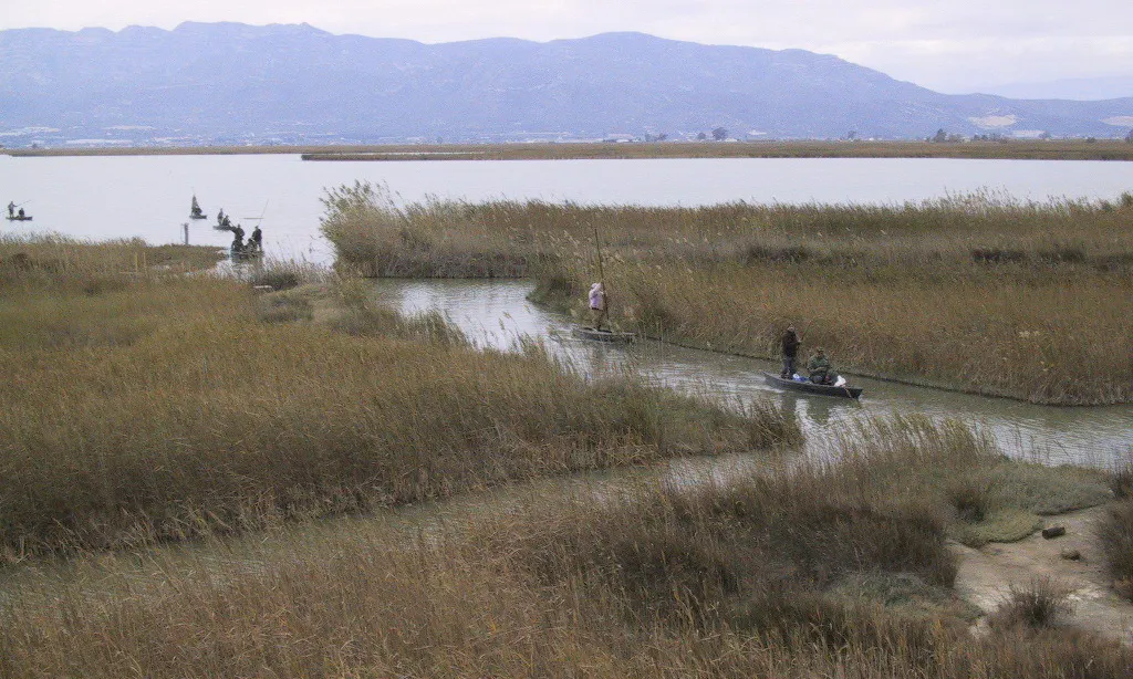 Parc Natural del Delta de l'Ebre. Font: Viquipèdia