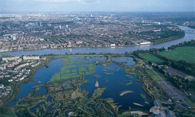 Els aiguamolls de la ciutat de Londres són un dels espais naturals preferits per ciutadania londinenca