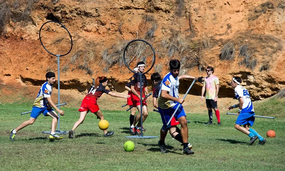 Partit de Quidditch