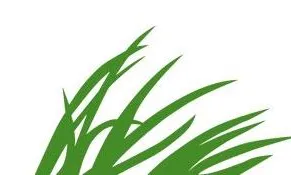 Logotip de la Fundació Biodiversidad