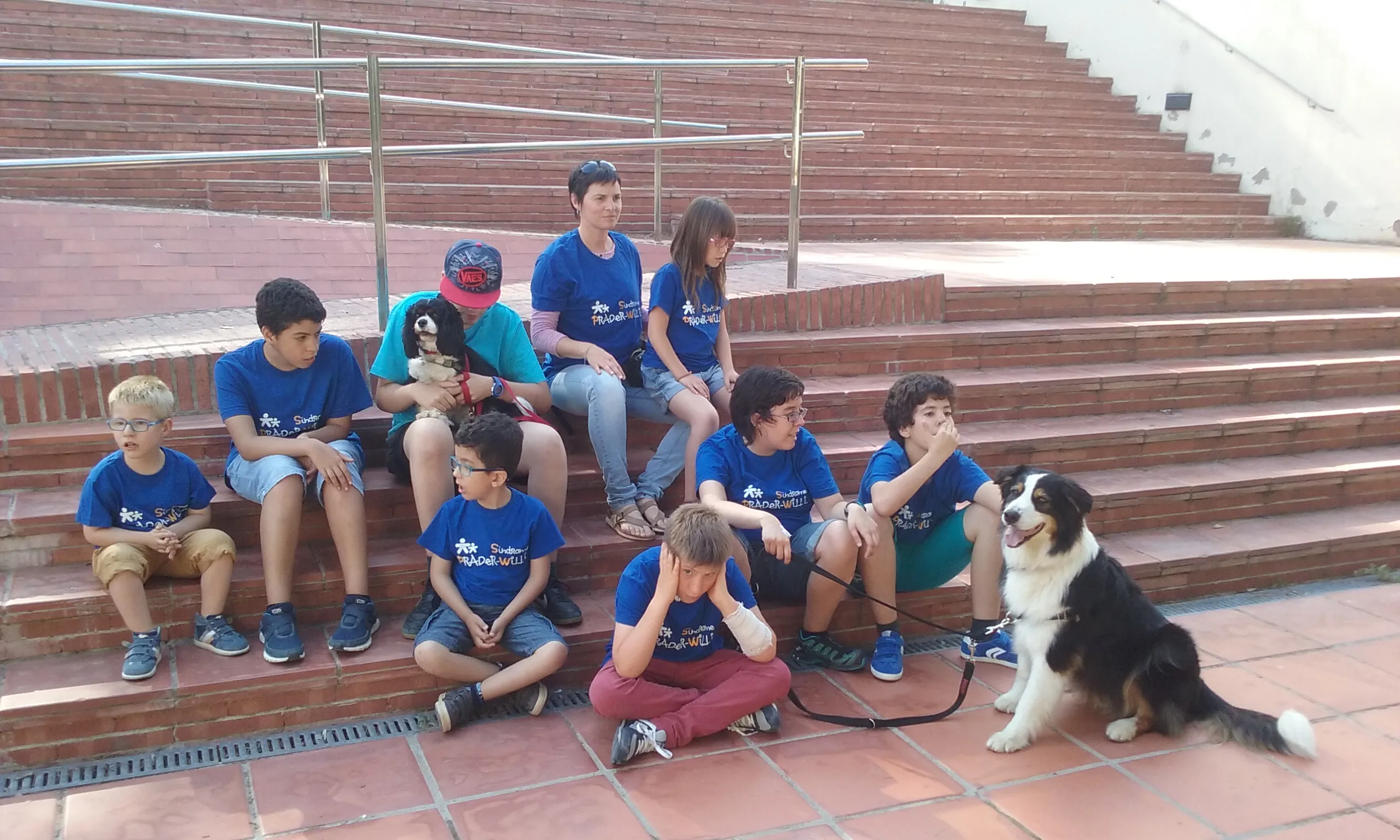 Taller zooteràpia