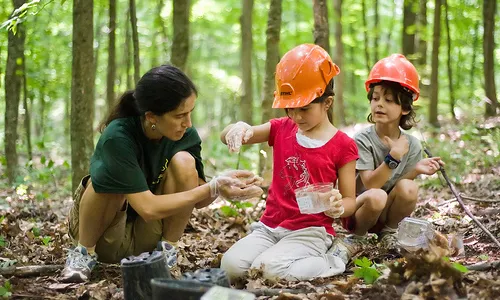 També als Estats Units hi ha un important moviment de "Outdoor learning"