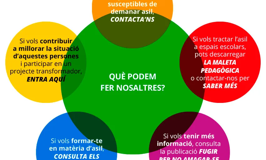 Gràfic que mostra les possibilitats que ofereix la pàgina web
