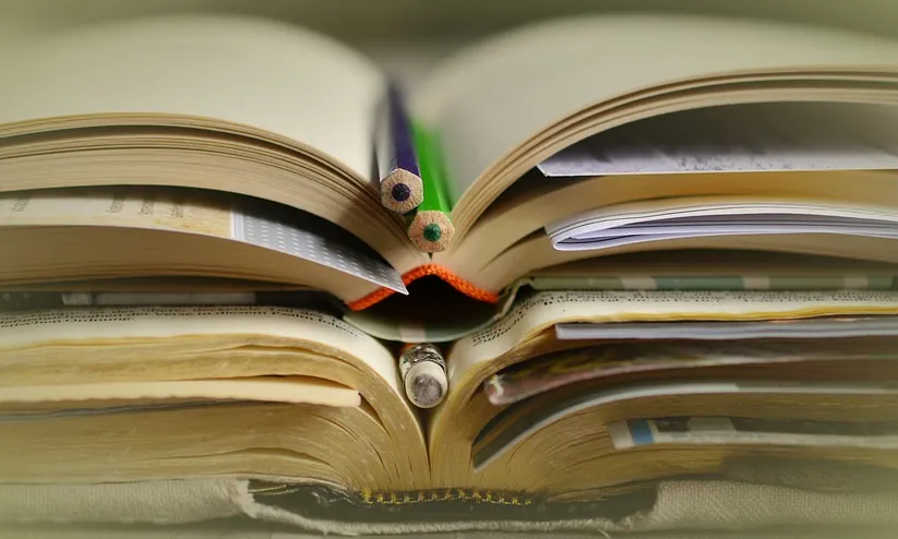 Llibres. Font: Pixabay