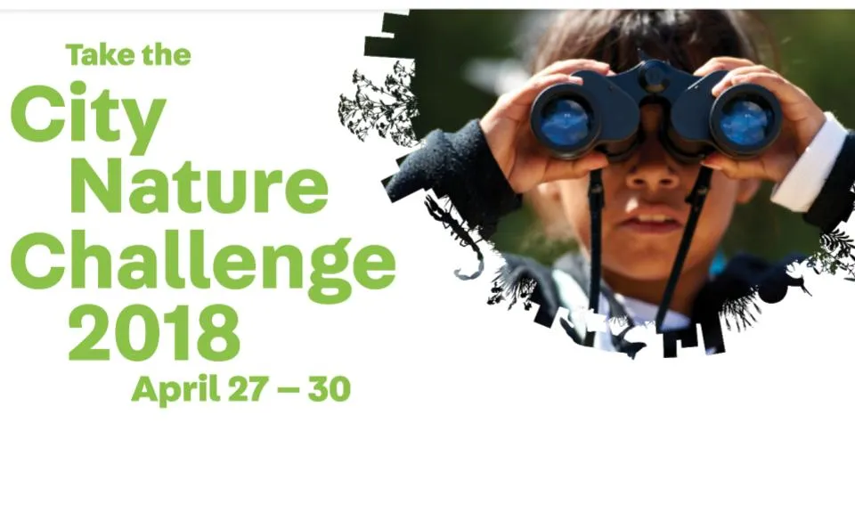 Amb la Biomarató  Barcelona  participa al City Nature Challenge 