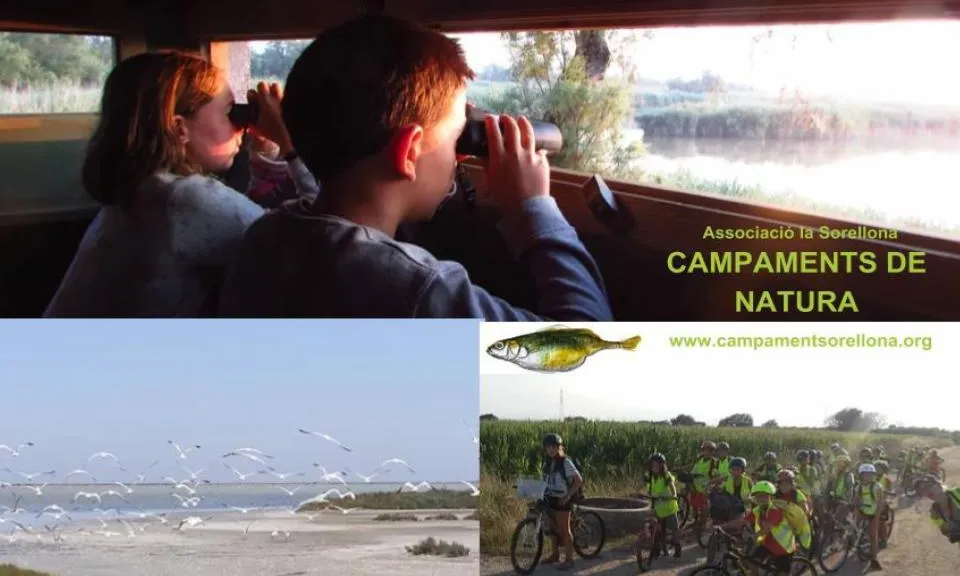 Campament per a joves naturalistes al Delta de l'Ebre amb l'Associació La Sorellona 