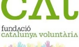 FCV logo 