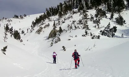 L'Associació CEA Alt-Ter proposa una sortida en raquetes per apreciar la natura de les valls pirineneques