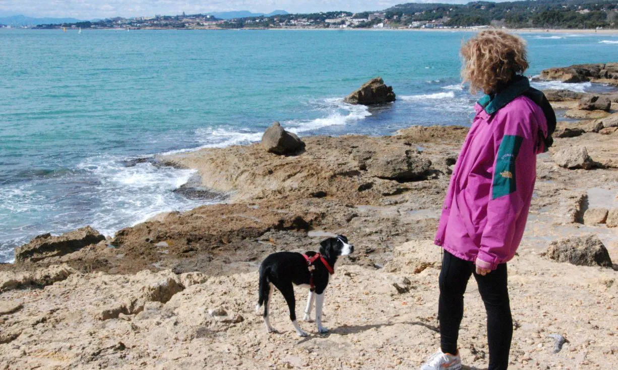 Passejada amb gossos per la platja de Tarragona