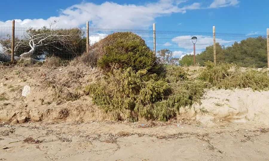 Platja Llarga de Tarragona