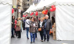 Persones grans, adultes i jovent podran apropar-se per conèixer la feina de prop de 30 entitats.