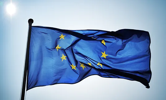 En aquest portal es poden consultar i fer arribar informació sobre projectes europeus en què participen organitzacions catalanes. 