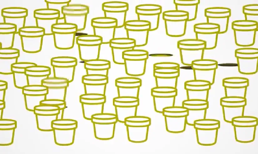 Germinador Social 2018