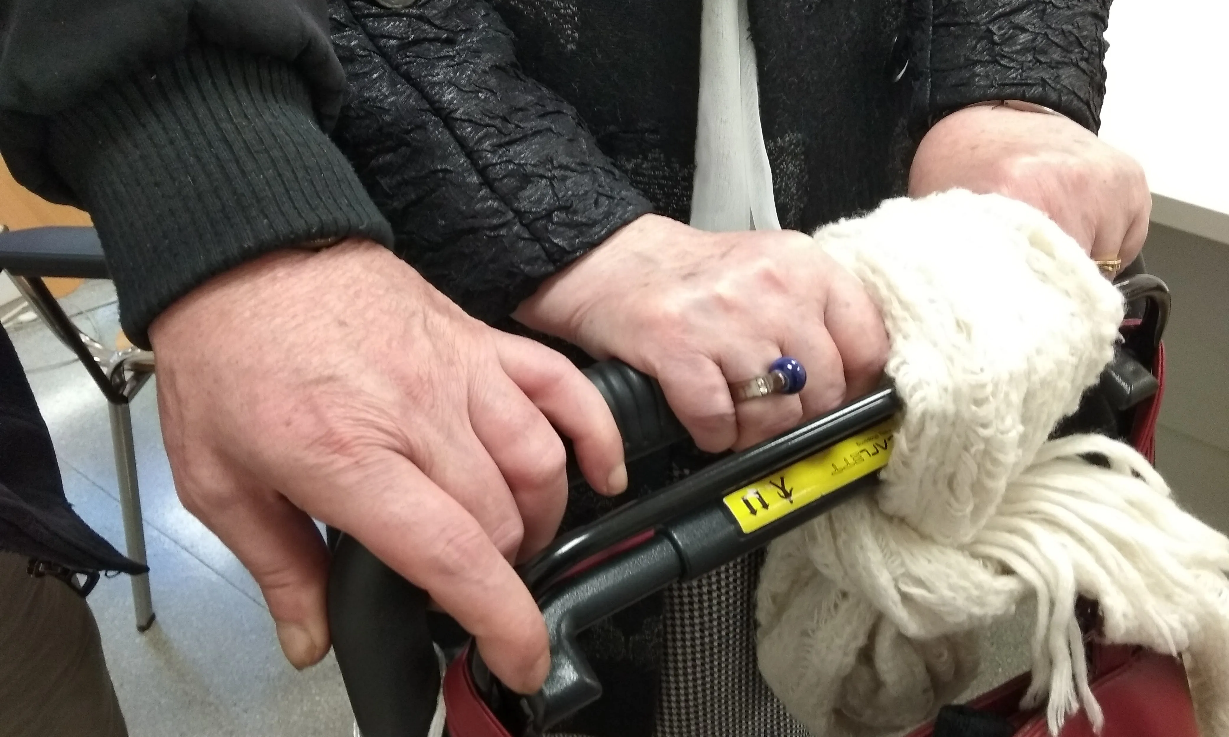 El dia 11 de maig es compartiran criteris d’accessibilitat per als programes de voluntariat de les entitats.