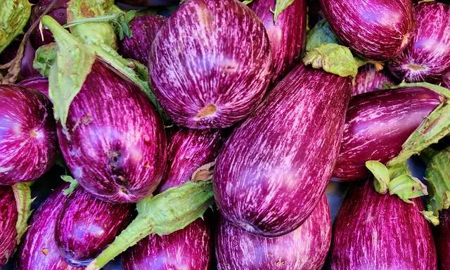 L'agroecologia i l'economia social i solidària comparteixen valors, i plantegen noves formes de produir aliments