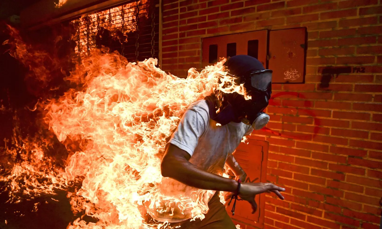 Fotografia guanyadora del World Press Photo d'enguany