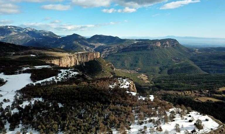 Imatge participant al concurs Treemotion i capturada amb dron, que mostra l’avanç de la processionària