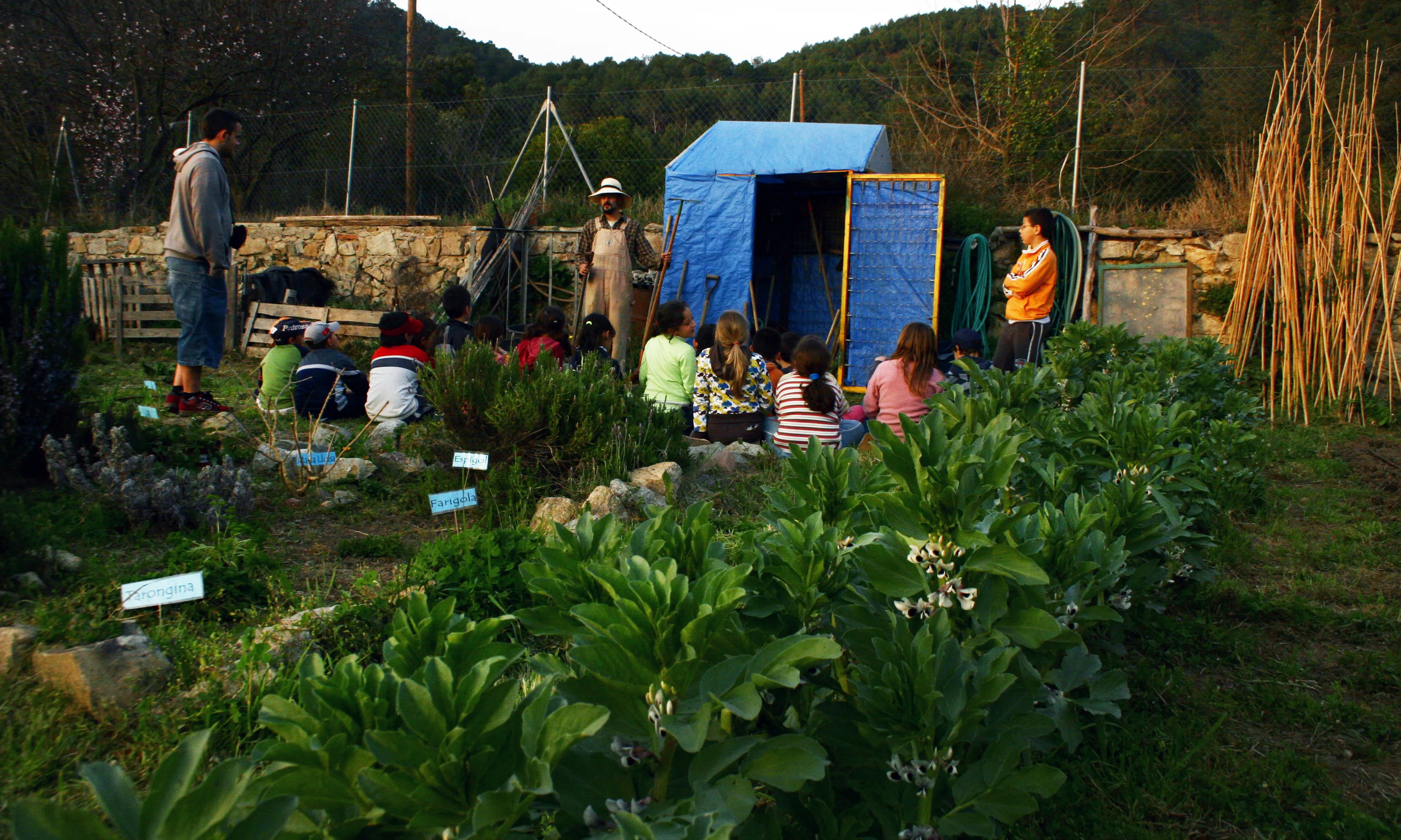 Manteniment de l'hort