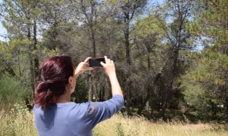 Alerta Forestal busca la protecció dels boscos amb la col·laboració de persones i entitats