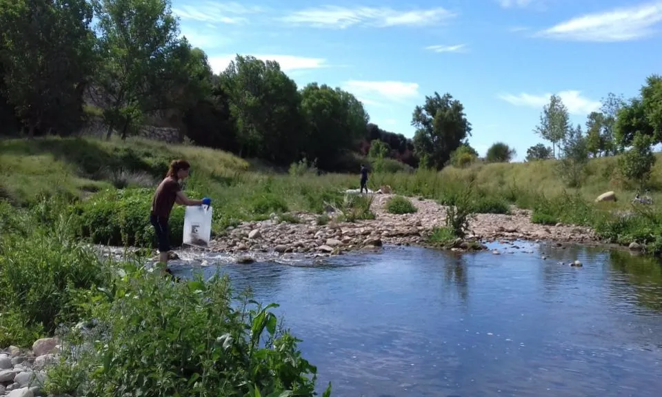 Es pot participar al Let's Clean Up amb les entitats ambientals en diferents indrets de Catalunya