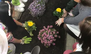 Espai Ambiental treballa des d'una perspectiva comunitària