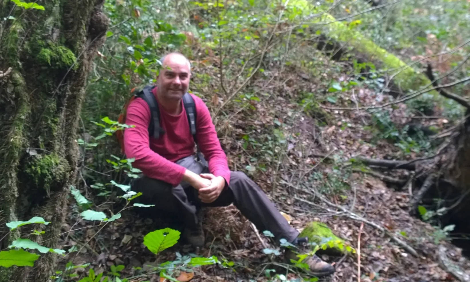 L'Associació Sèlvans treballa per la protecció dels boscos madurs a Catalunya i pel seu vincle amb la salut de les persones