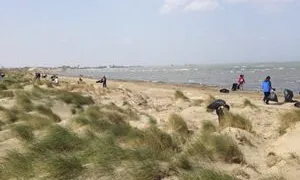 El grup de voluntaris del Parc Natural del Delta de l'Ebre organitza una acció a platja de la Bassa de les Olles a l'Ampolla