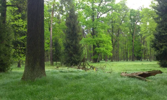 Medi Ambient