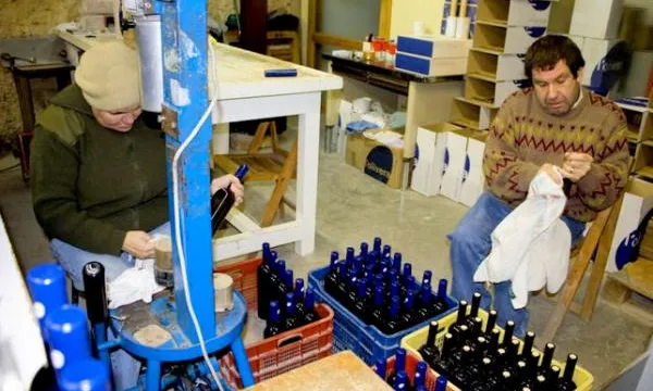 L'Olivera produeix vins i olis