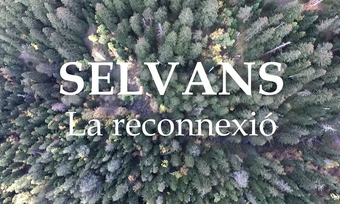 El documental Sèlvans es va presentar en la passada edició del Festival de Cinema  de Medi Ambient Ficma