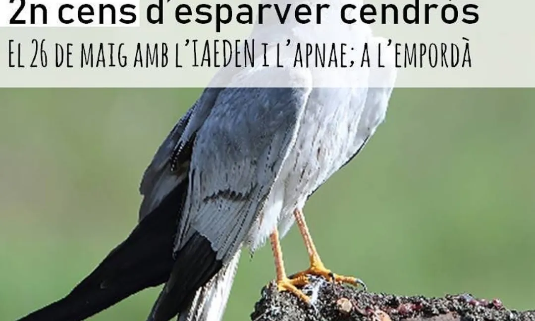 Les entitats ambientals i altres organitzacions han preparat un ampli programa d'activitats arreu  de Catalunya