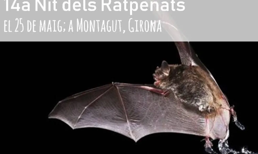 La Setmana de la Natura se celebra els dies previs al 5 de juny, dia mundial del medi ambient