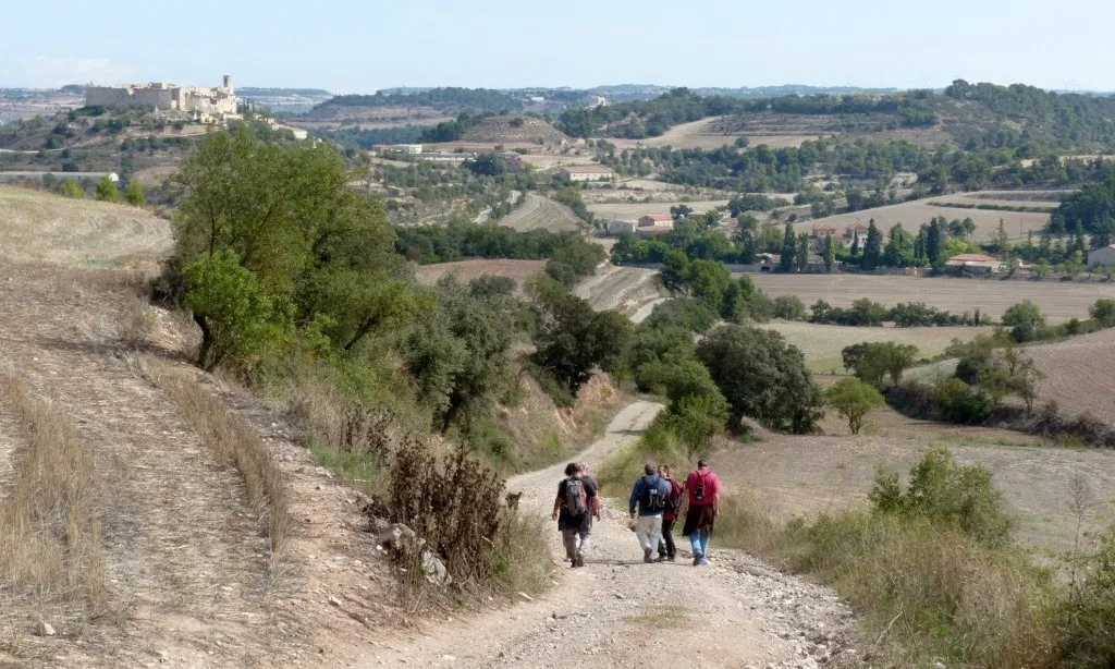 Imatge d'una ruta per la Segarra