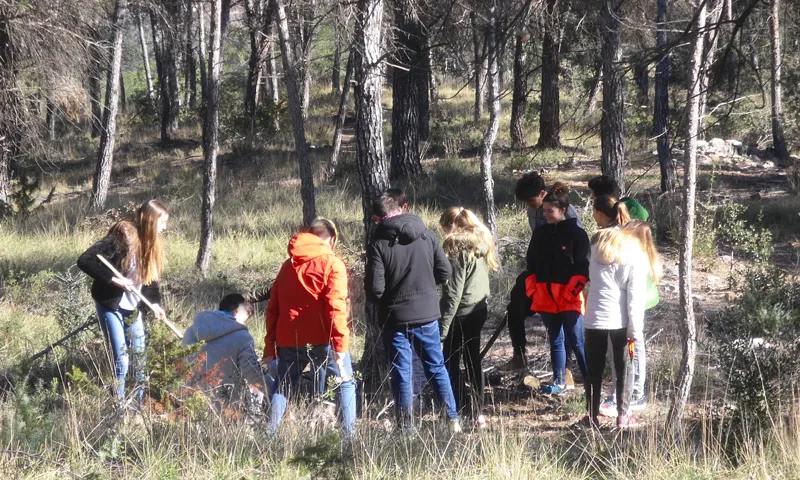 Intervenció artístico-educativa  amb pedra seca amb Cacis