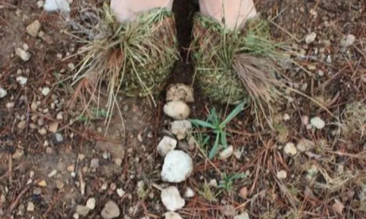 A traves de l'art a CACIS faciliten eines que han de permetre "parlar amb la natura"